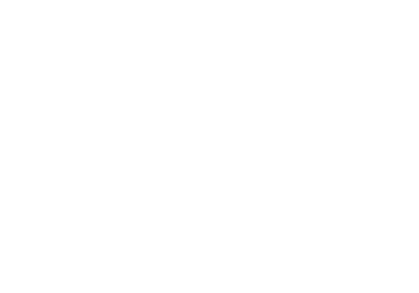 Social Enterprise Southern Lakes